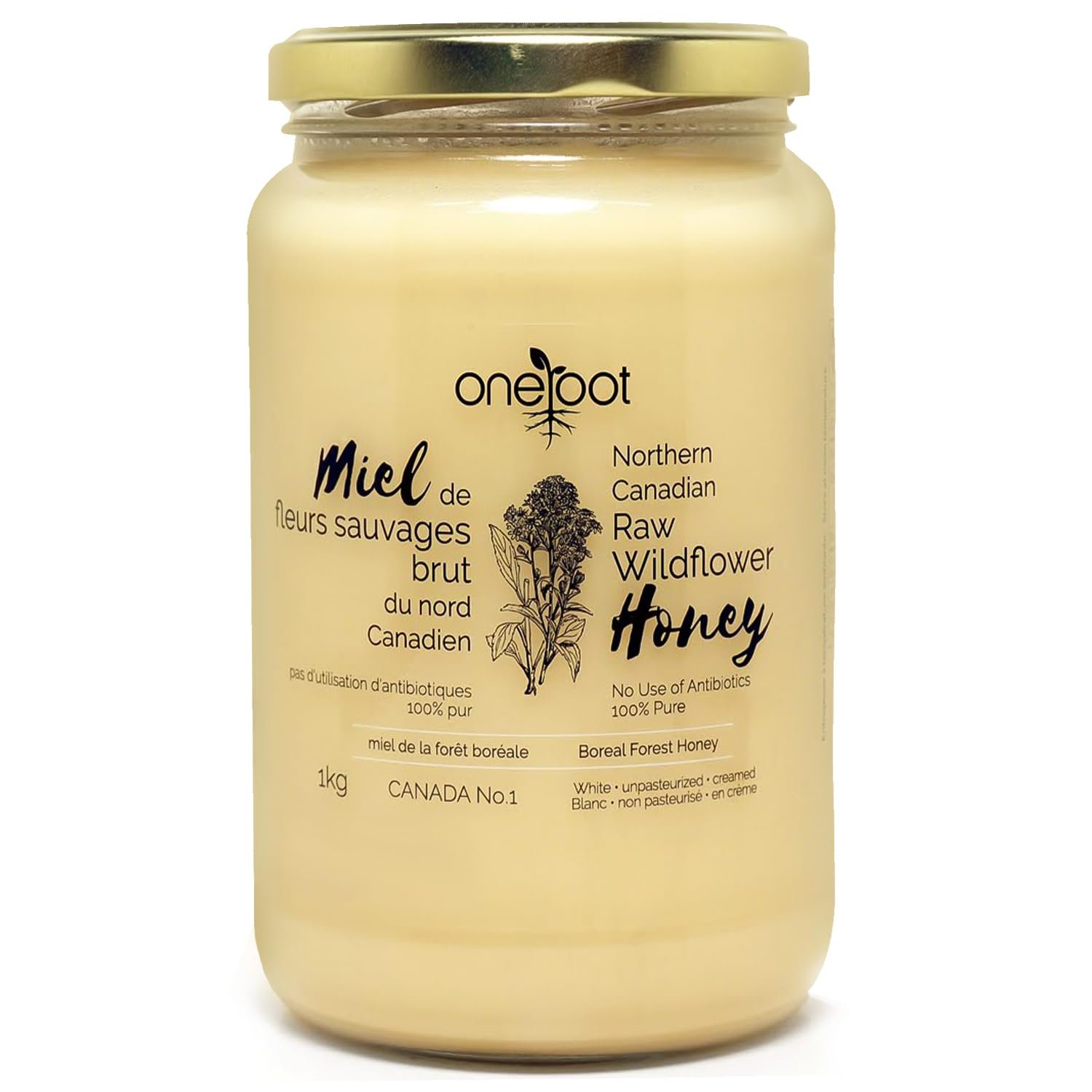 Oneroot 100% Canadian Wildflower Honey – 1kg / 2.2lbs, Unheated & Creamed – Nutrient-Rich, Natural Sweetener with Enzymes – Thick & Pure Raw Unfiltered Honey