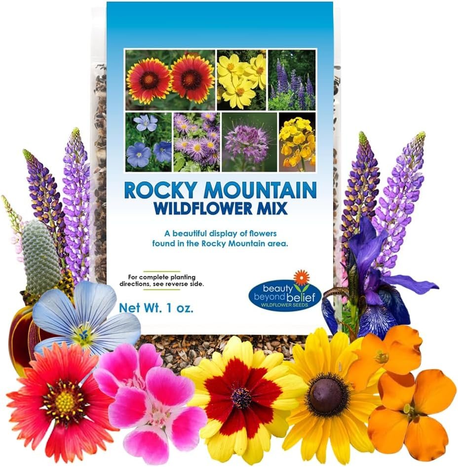 BBB Seed Rocky Mountain Wildflower Seeds, Colorado Flower Seed Mix, 1 oz