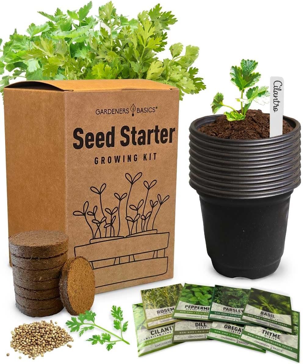 8 Herb Seed Starter Kit – Grow a Variety of Fresh Culinary Herbs – Non-GMO Heirloom Seeds, Complete Indoor & Outdoor Grow Kit, Perfect for Home Gardens & Cooking