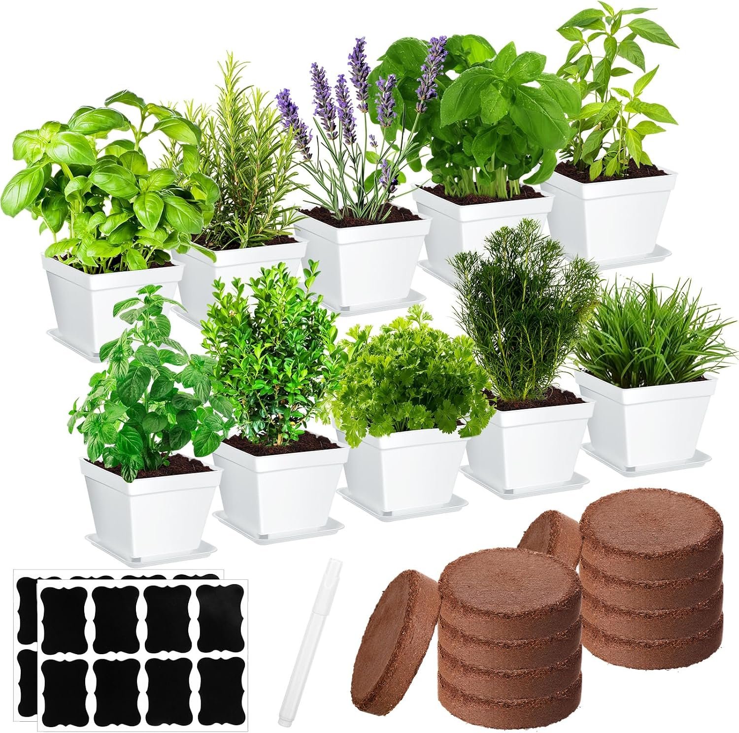 Ripeng 10 Set Indoor Herb Garden Starter Kit, Herb Growing Kit with Pots, Nutritional Soil, Plant Markers, Kitchen Window Planter, Gardening Gift for Women Men Indoor Outdoor