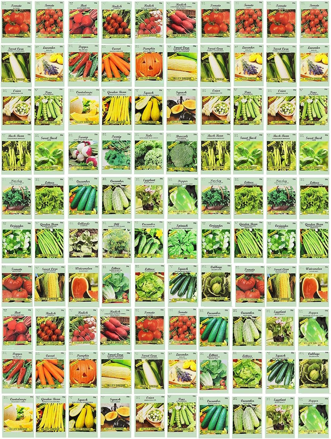 100 Assorted Heirloom Vegetable Seeds 100% Non-GMO (100, Deluxe Assorted Vegetable Seeds)