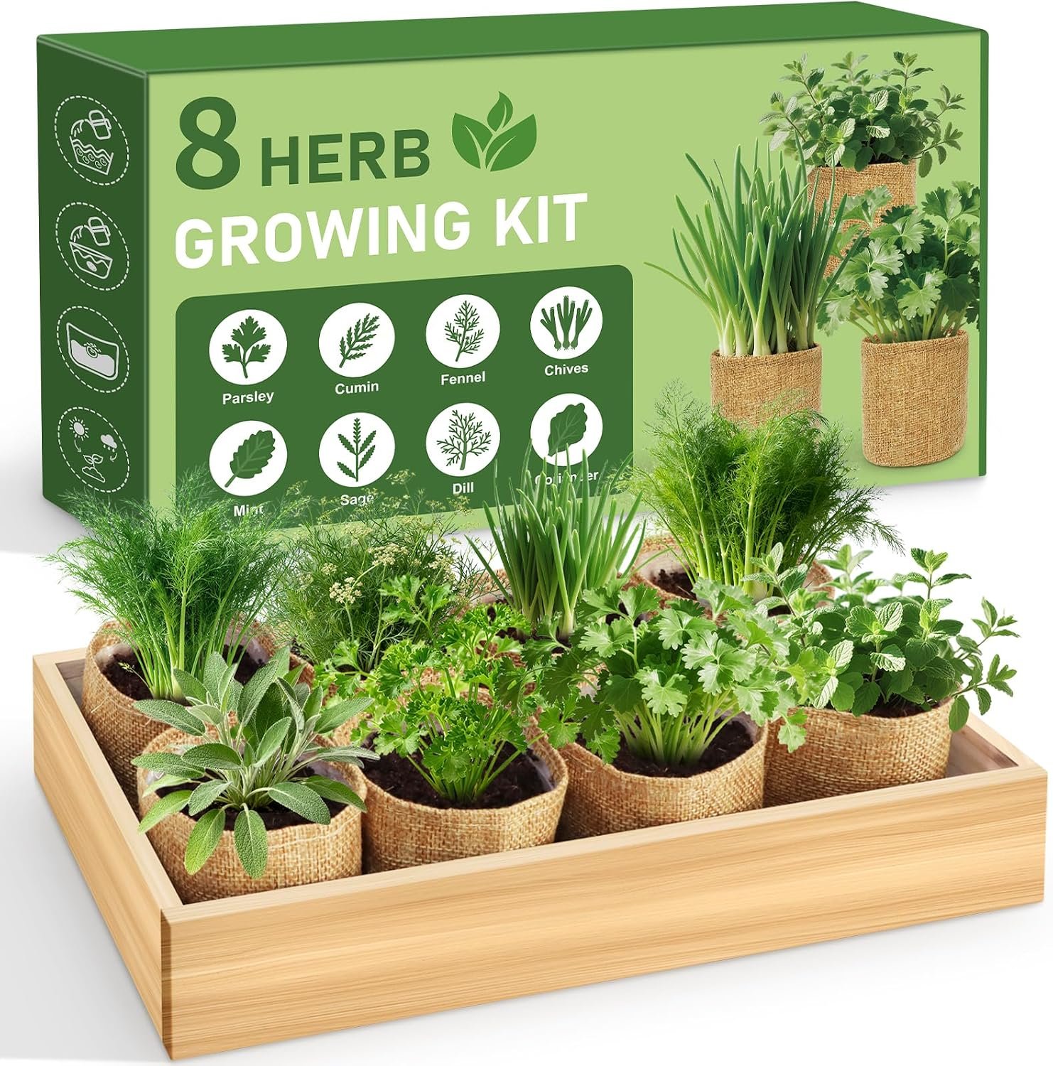LUOJIBIE Indoor Herb Garden Kit, Complete Herb Starter Growing Kit with Seeds & Tools, Christmas Birthday Gifts for Women Men Mom Dad, House Warming New Home Kitchen Gifts for Girls Boys Plant Lovers