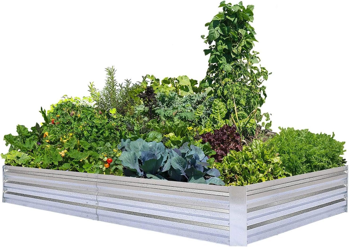 Galvanized Raised Garden Bed 8x4x1ft Single Unit