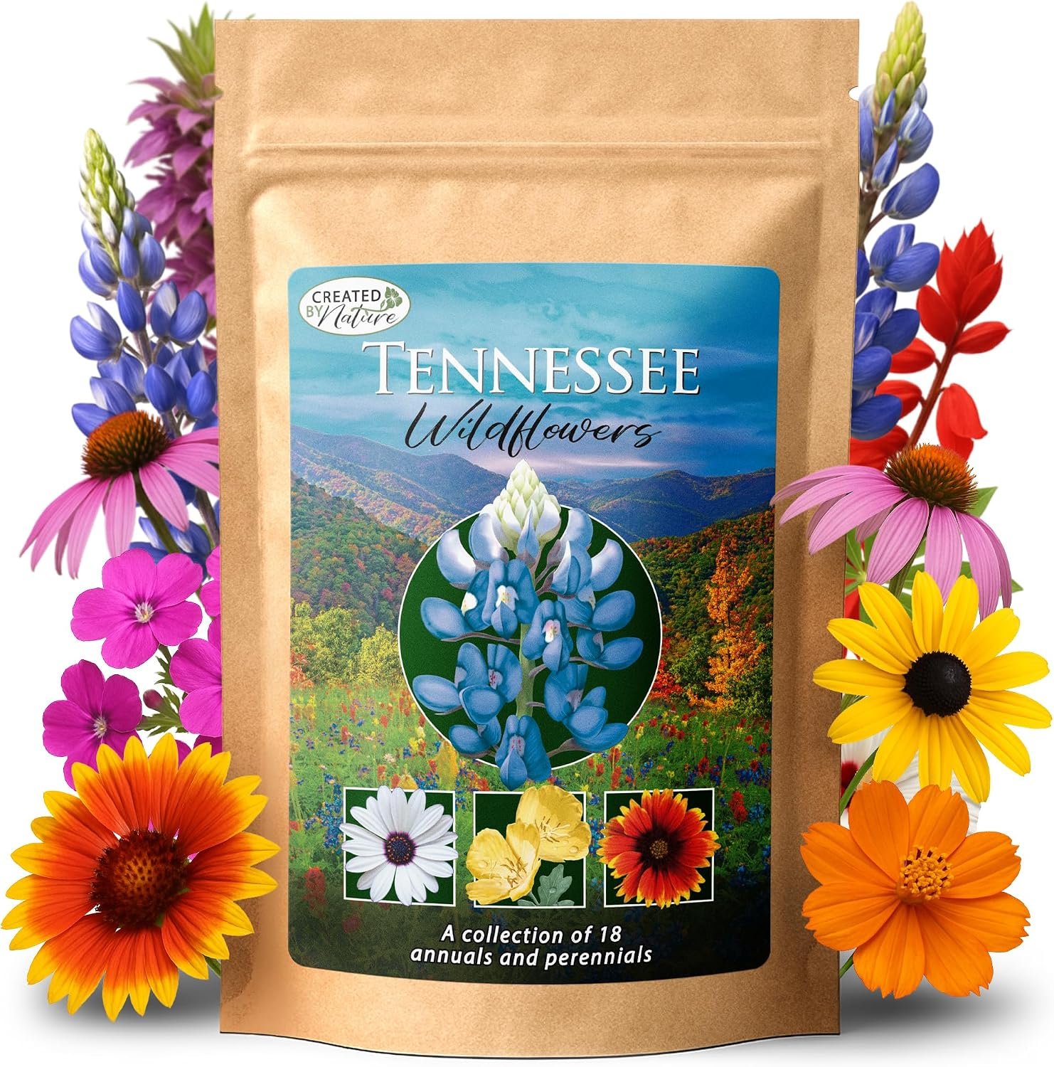 Tennessee Wildflower Seed Mix – Over 35,000 Flower Seeds, Covers 300 Sq Ft
