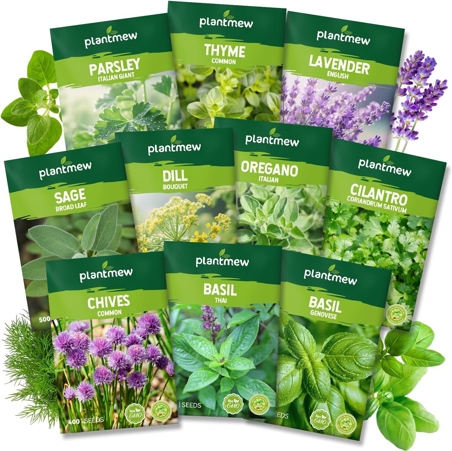 10 Herb Seeds Variety Pack – 7,000+ Heirloom Seeds – Basil, Cilantro, Lavender, Parsley, Dill, Thyme, Chives, Oregano, Sage, Herb Garden Kit for Planting Home Garden, Gardening Gift