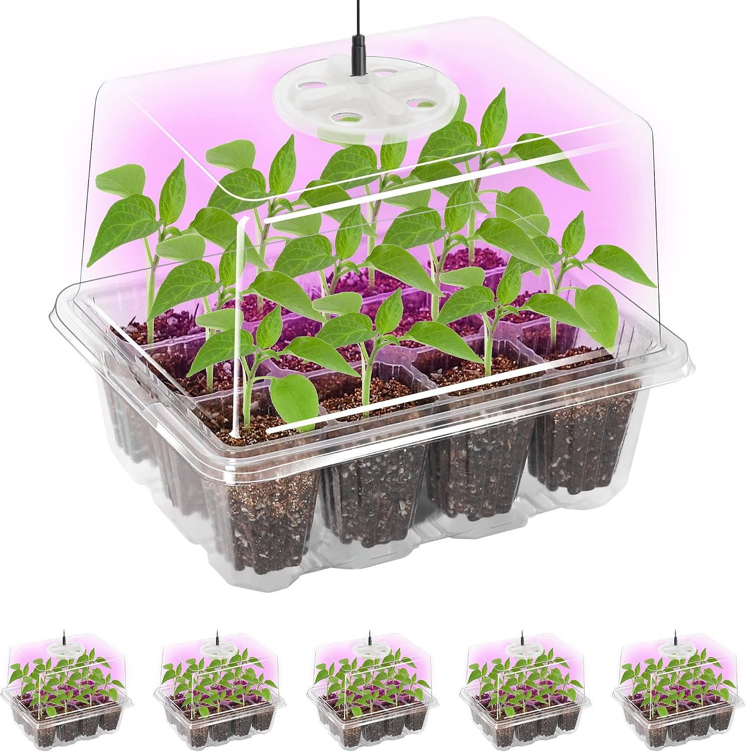 Bonviee Seed Starter Trays with 12-LED Grow Lights, Clear, 5 Pack