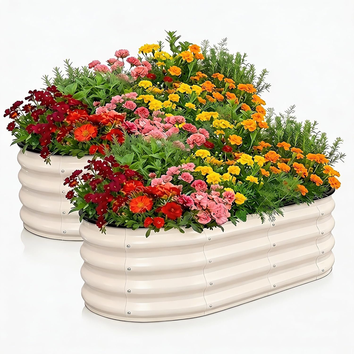 2 Pack Galvanized Raised Garden Beds Outdoor, 4 x 2 x 1 ft White Metal Garden Bed, Oval Open-Bottom Raised Planter Box for Vegetables, Flowers, Herbs, Backyard Patio