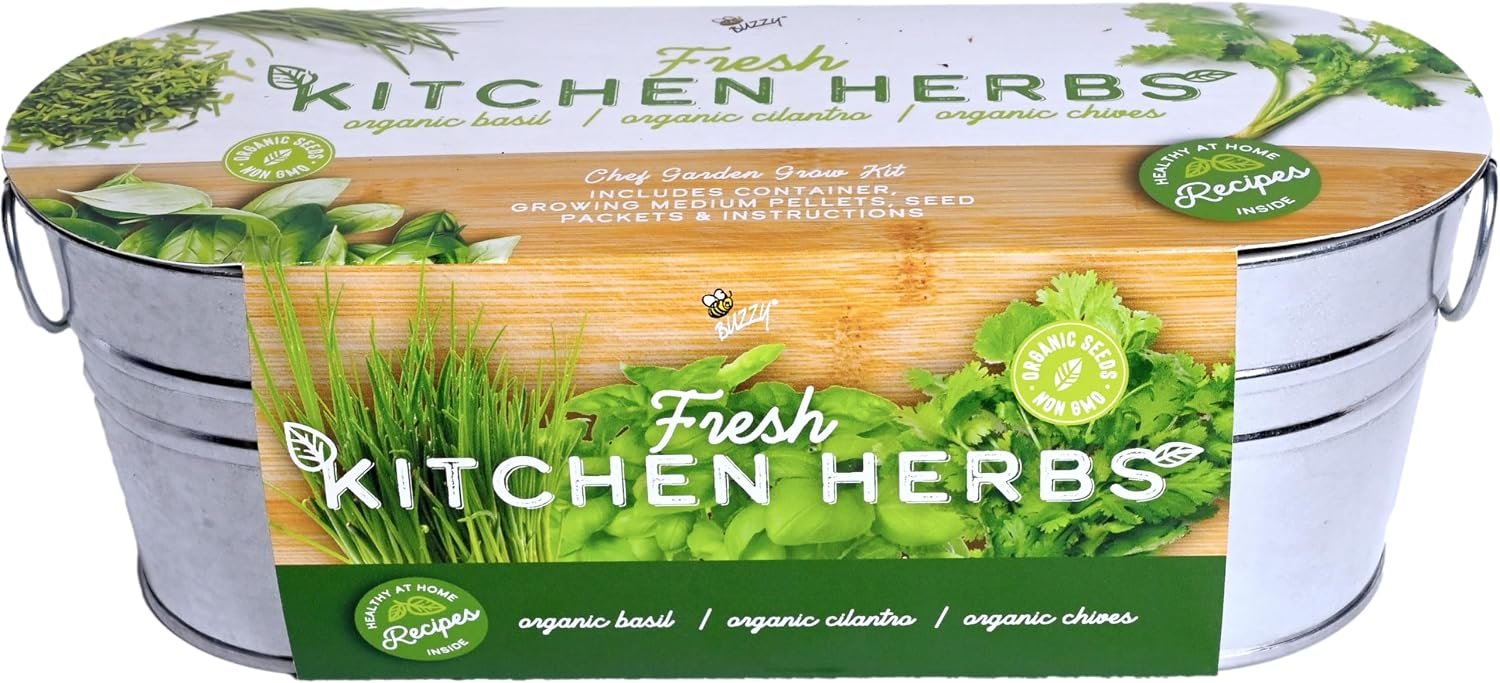 Buzzy Seeds Kitchen Herb Grow Kit, Metal Planter, Basil Cilantro Chives