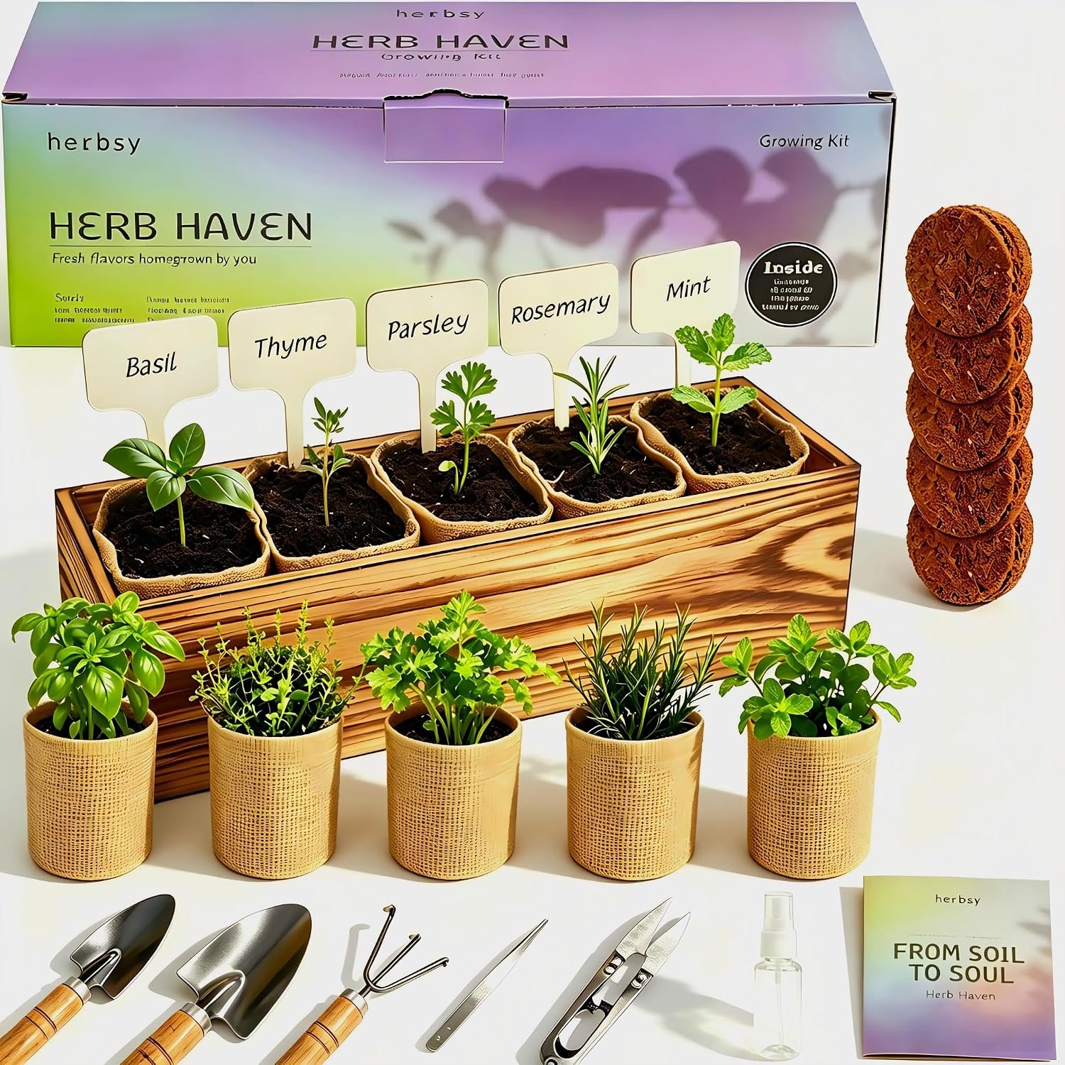 5 Herb Garden Kit with Wooden Box – Basil, Thyme, Parsley, Rosemary, Mint – Windowsill Herb Garden for Kitchen – Mother’s Day Gift for Mom, Gardening Gift for Women – Birthday Housewarming