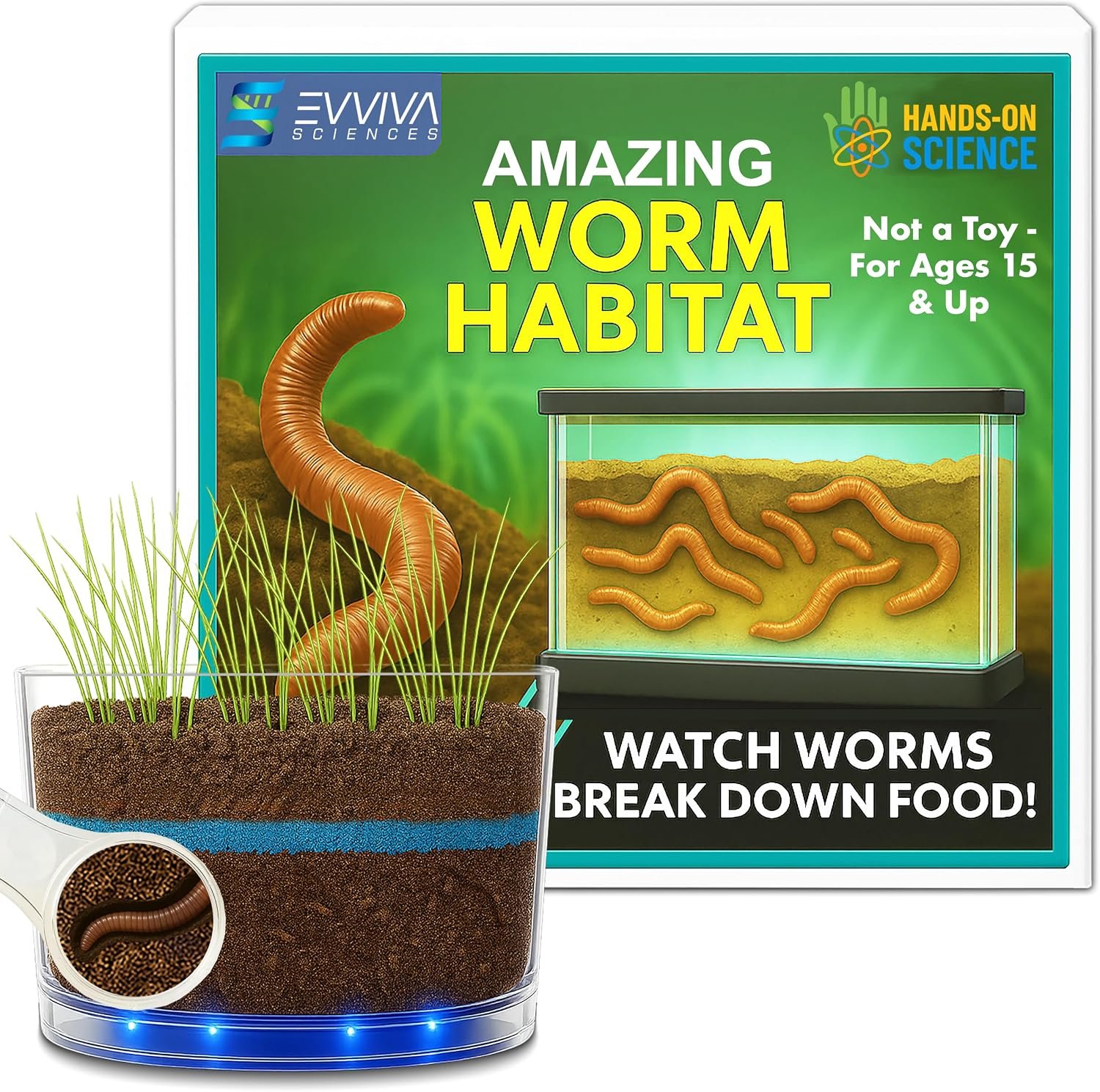 ES EVVIVA SCIENCES Worm Habitat Kit – Transparent Ecosystem Learning Container for Worm Observation and Soil Layer Studies – Composting Science Projects and Lab Use – Intended for Ages 15 & Older