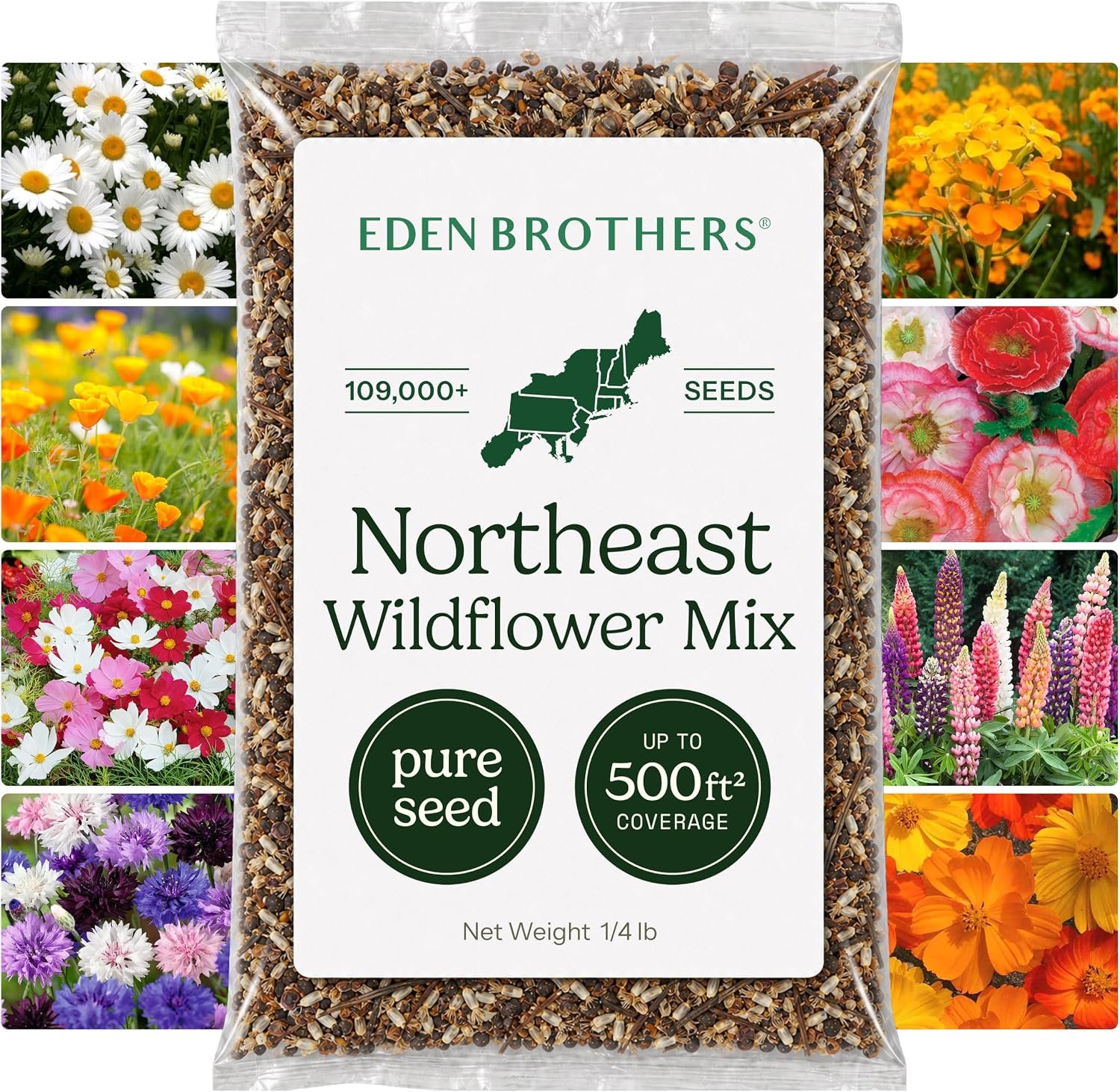 Eden Brothers Northeast Wildflower Mixed Seeds for Planting, 1/4 lb, 120,000+ Seeds with Cosmos, Candytuft, Shasta Daisy | Attracts Pollinators, Plant in Spring or Fall, Zones 3, 4, 5, 6, 7, 8, 9, 10