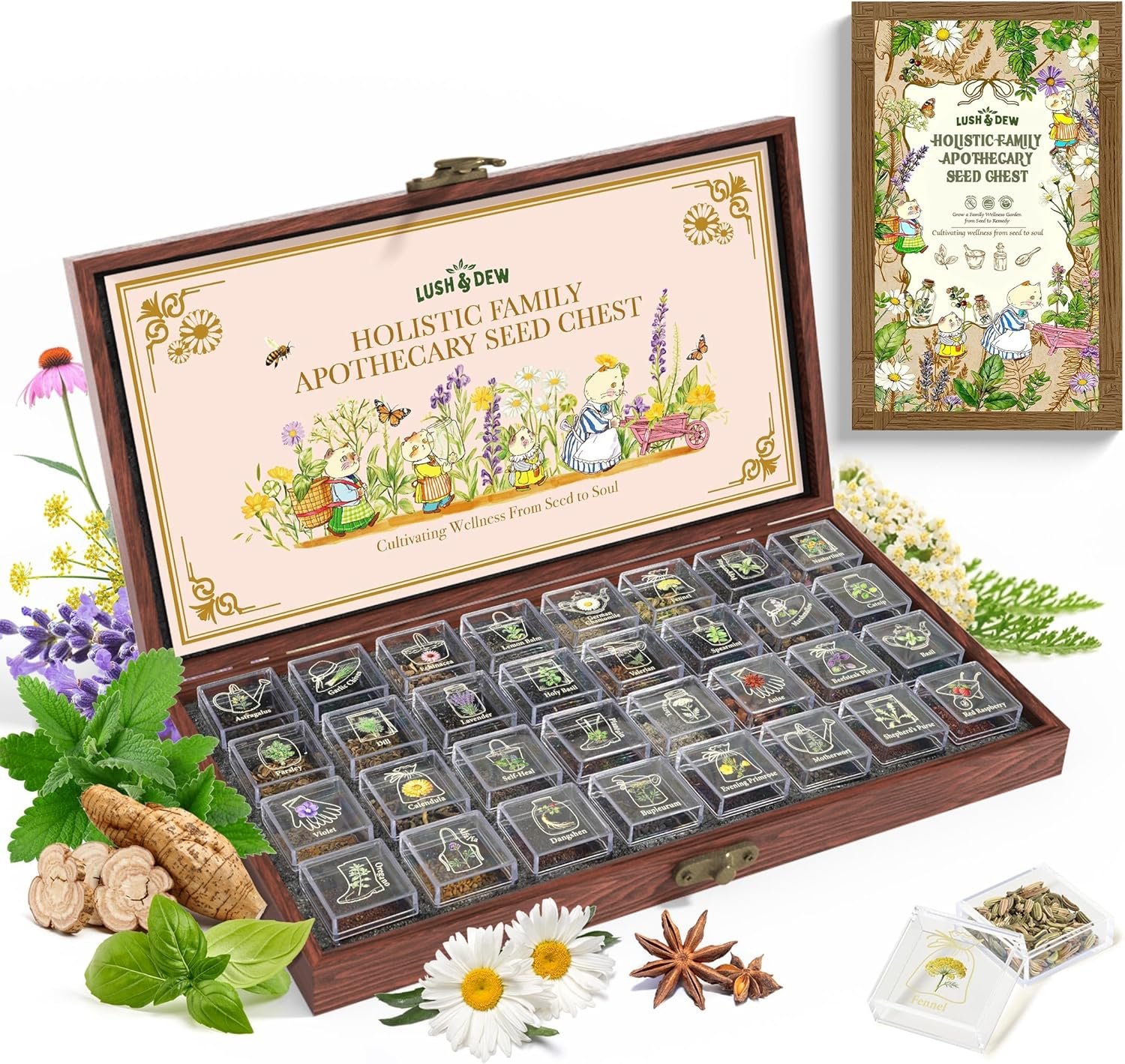 Lush&Dew Holistic Family Apothecary Seed Chest, 30000+ Medicinal Herb Seeds