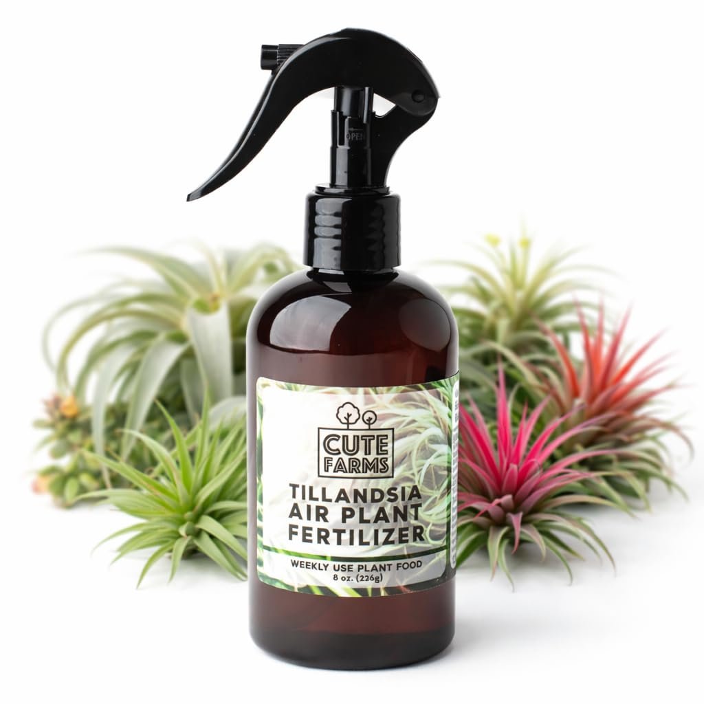 Cute Farms Tillandsia Air Plant Fertilizer | Gentle Weekly Use Formula Plant Food | Formulated Nutrients for Air Plants (8 oz. Spray Bottle)