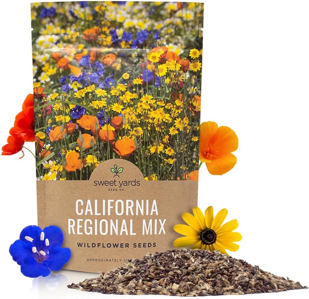 California Wildflower Mixture – Bulk 1/4 Pound Bag – Over 30,000 Native Seeds – Open Pollinated and Non GMO