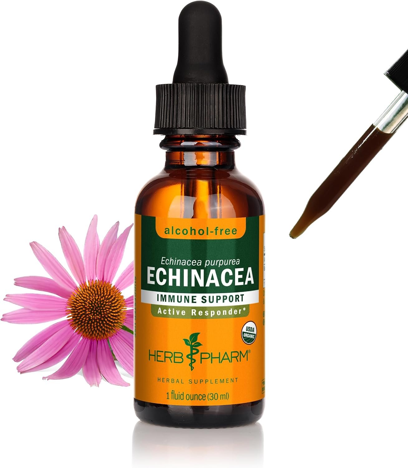 Herb Pharm Echinacea Alcohol-Free Extract: Immune System Support for All Seasons | Fast-Absorbing Echinacea Root Organic Supplement | Non-GMO, Vegan & Gluten-Free | Glycerite Liquid | 1 oz