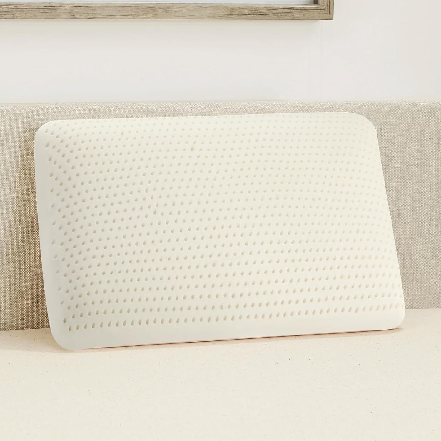 Talalay 100% Natural Premium Latex Pillow,Bed Pillow for Sleeping with Removable Cotton Cover, Helps Relieve Pressure, Breathable, Pressure Relief, Durable, Best Gift (Queen (Medium, 6.2” H))