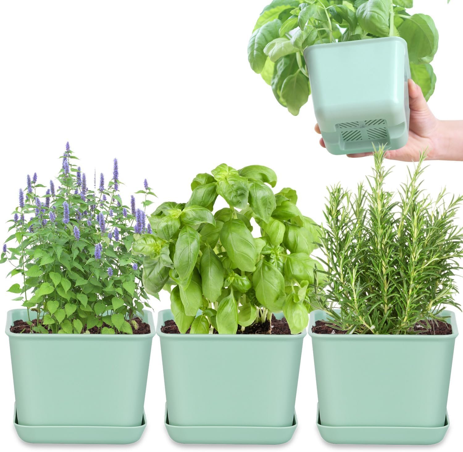 Oliz Herb Garden Planter Indoor Kit Pots for Indoor/Outdoor Plants 4 Packs Windowsill Plant Pots with Drainage and Tray, Window Pot for Indoor Plants (Green)