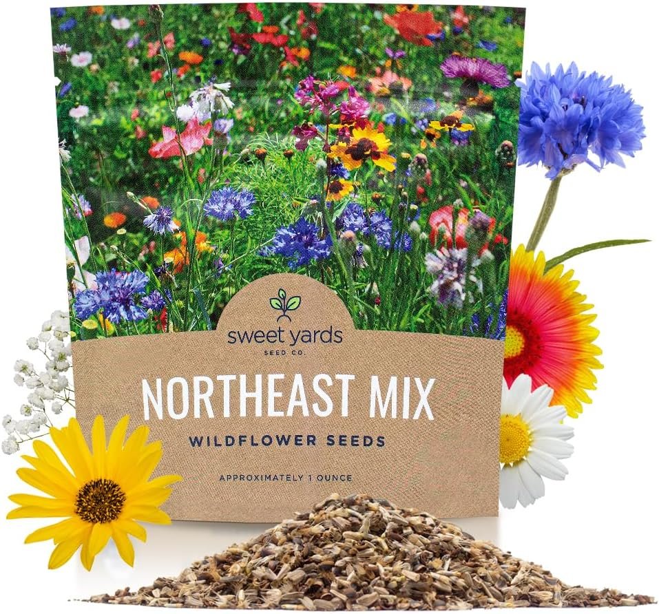Northeast Wildflower Seeds – Extra Large 1 Ounce Packet – Over 7,500 Native Seeds – Open Pollinated and Non GMO Varieties for New York, Virginia, Pennsylvania, Maine and More!