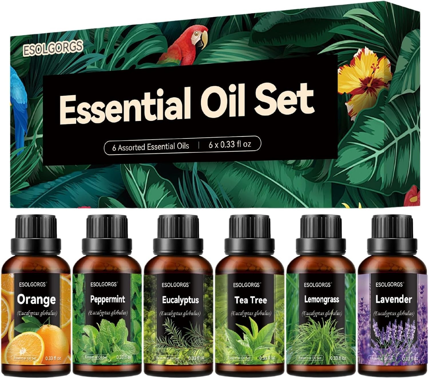 Essential Oils Set – 6 Blends for Diffusers, Aromatherapy Gift Set,Home Care, Candle Making Scents, Humidifiers,- Peppermint, Tea Tree, Lavender, Eucalyptus, Lemongrass, Sweet Orange (10mL)