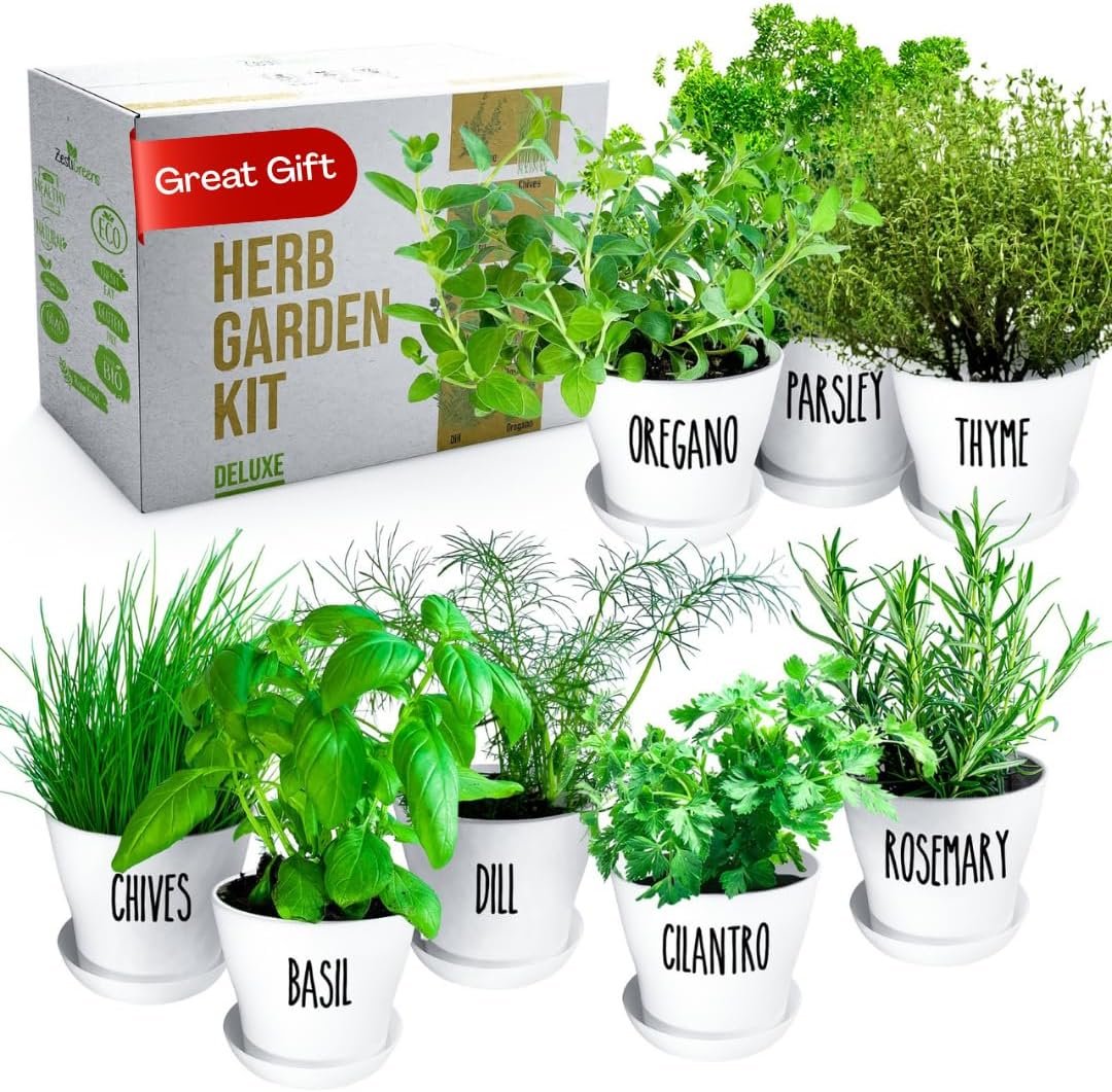 Herb Garden Starter Kit – 8 USA Culinary Herbs