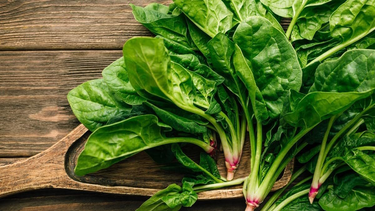 Asian Vegetable Seeds – Premium Heirloom Non-GMO Seeds (Spinach)
