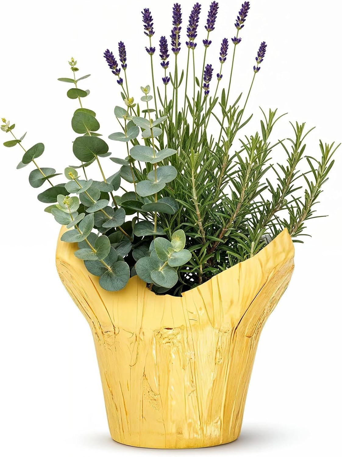 Herb Combo – Air Purifier, Rosemary, Lavender & Eucalyptus, Aromatic Plant Collection in Deco Cover, 12″ Tall by 6″ Wide in 1.25 Qt Pot