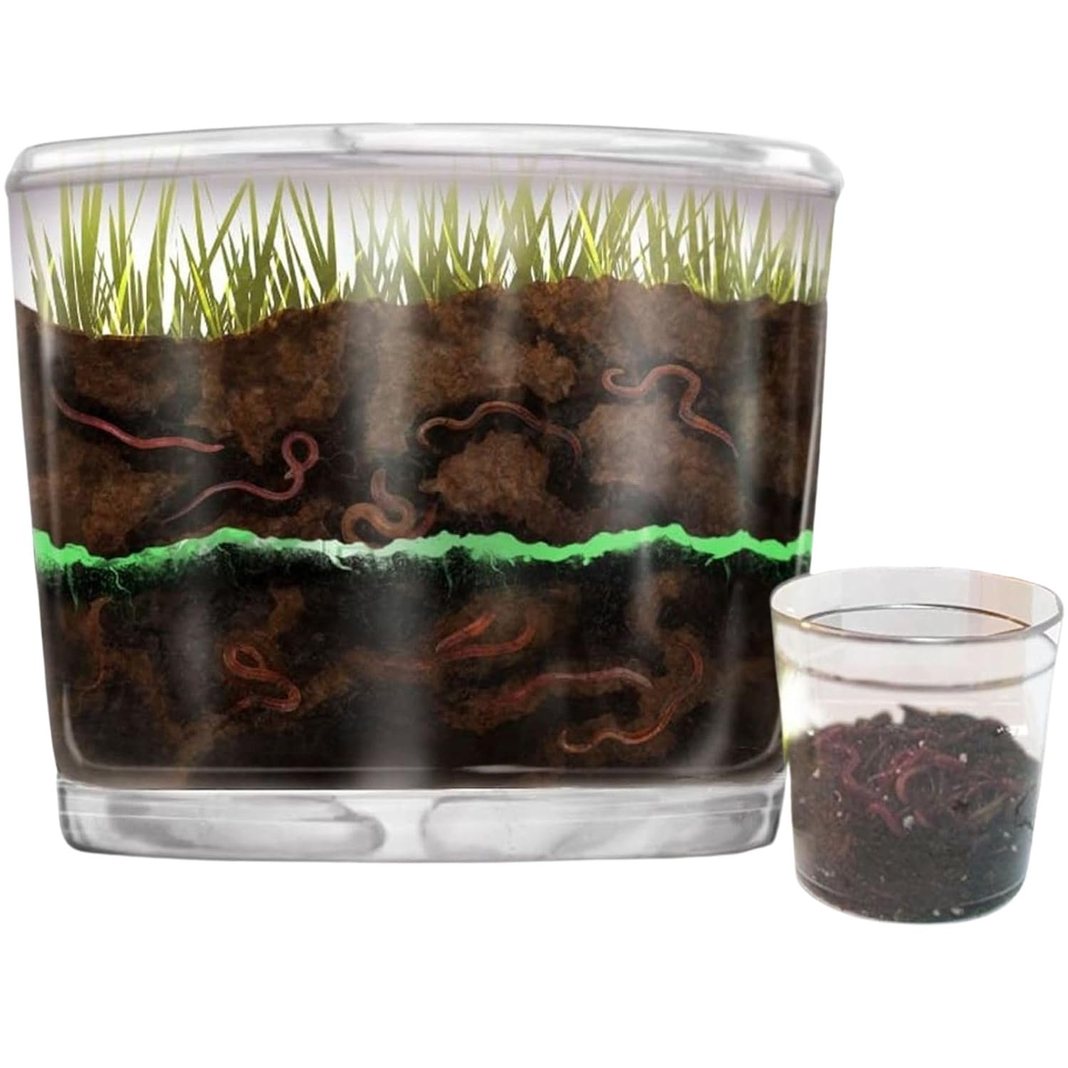 Worm Farm for Kids Kit with 20 Live Composting Worms, All-in-One Bundle