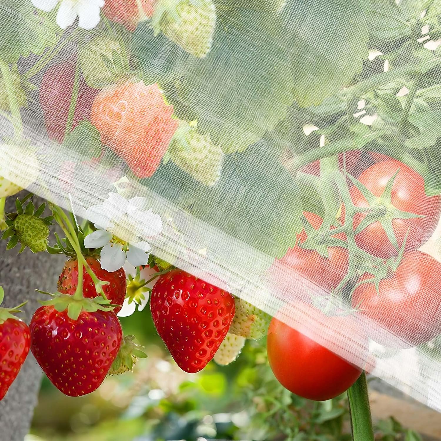 RAINFLOW Garden Netting 10 x 5 FT – 60 Mesh Plant Cover for Raised Beds