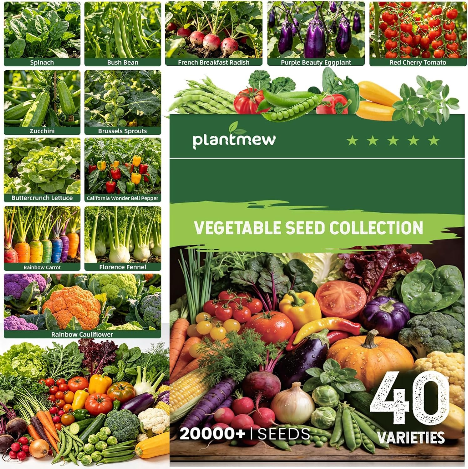 Vegetable Heirloom Seeds Vault Kit | 40 Varieties | 20,000+ High Yield Garden Seeds | Sweet Basil, Cherry Tomato, Romaine Lettuce & More | 2026 Season | for Indoor & Outdoor Home Planting