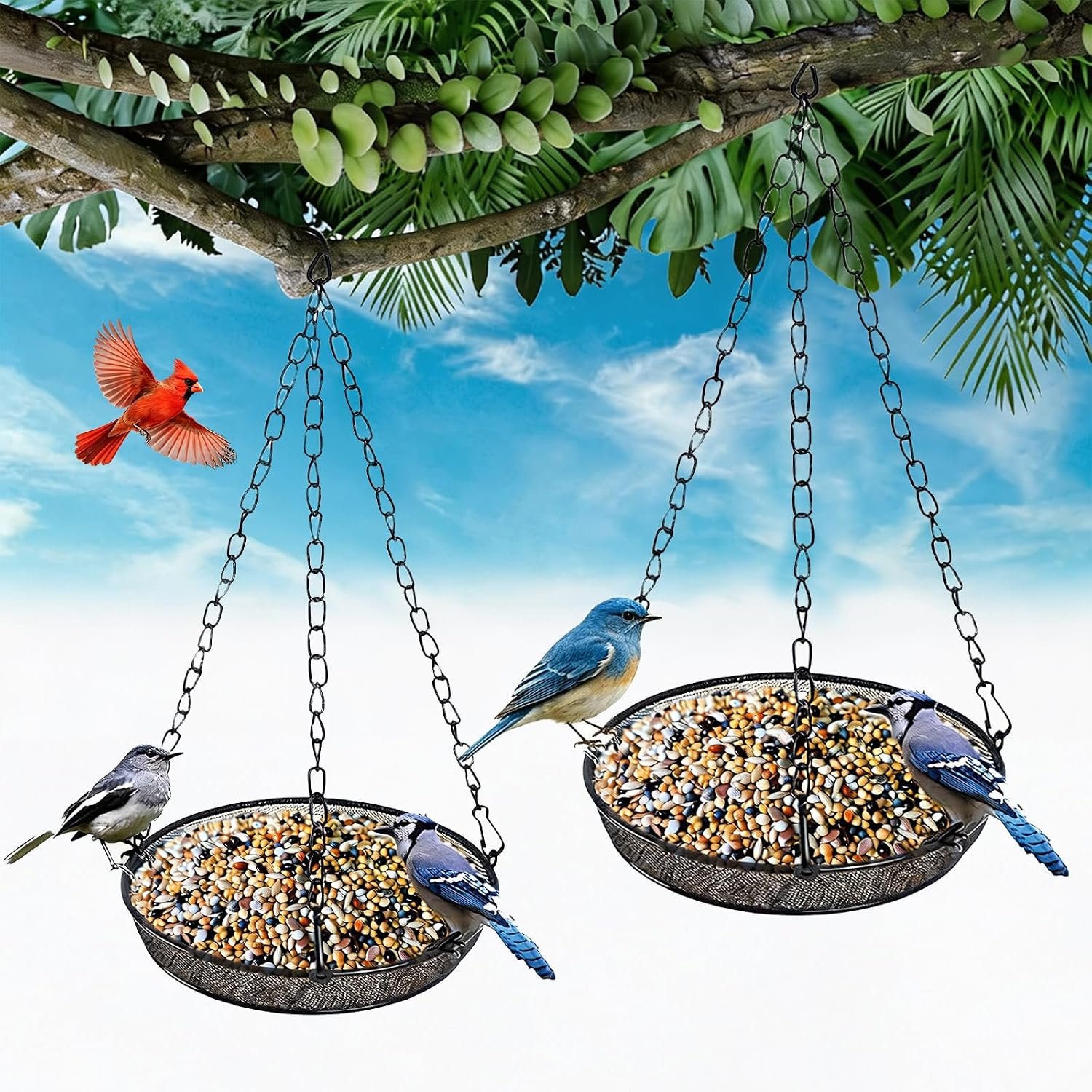 Bird Feeder, Hanging Bird Feeders for Outdoors Metal Mesh Birdfeeder Tray
