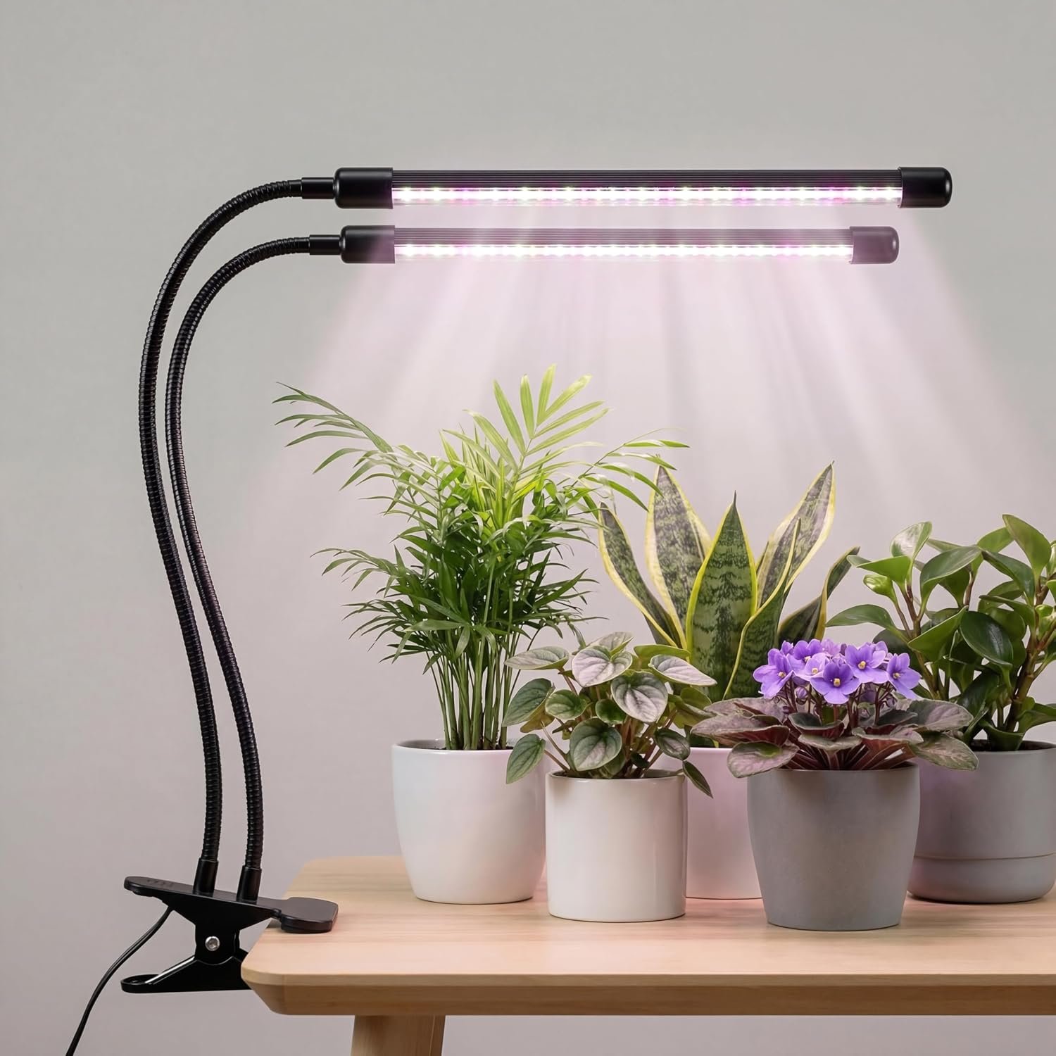 Bloom Lume LED Grow Lights for Indoor Plants Full Spectrum 6000K – Plant Grow Lights Indoor Features Multi Mode Color Spectrums (Red, White & Blue), Dimmable, Auto Timer, Clip on Gooseneck Plant Lamp
