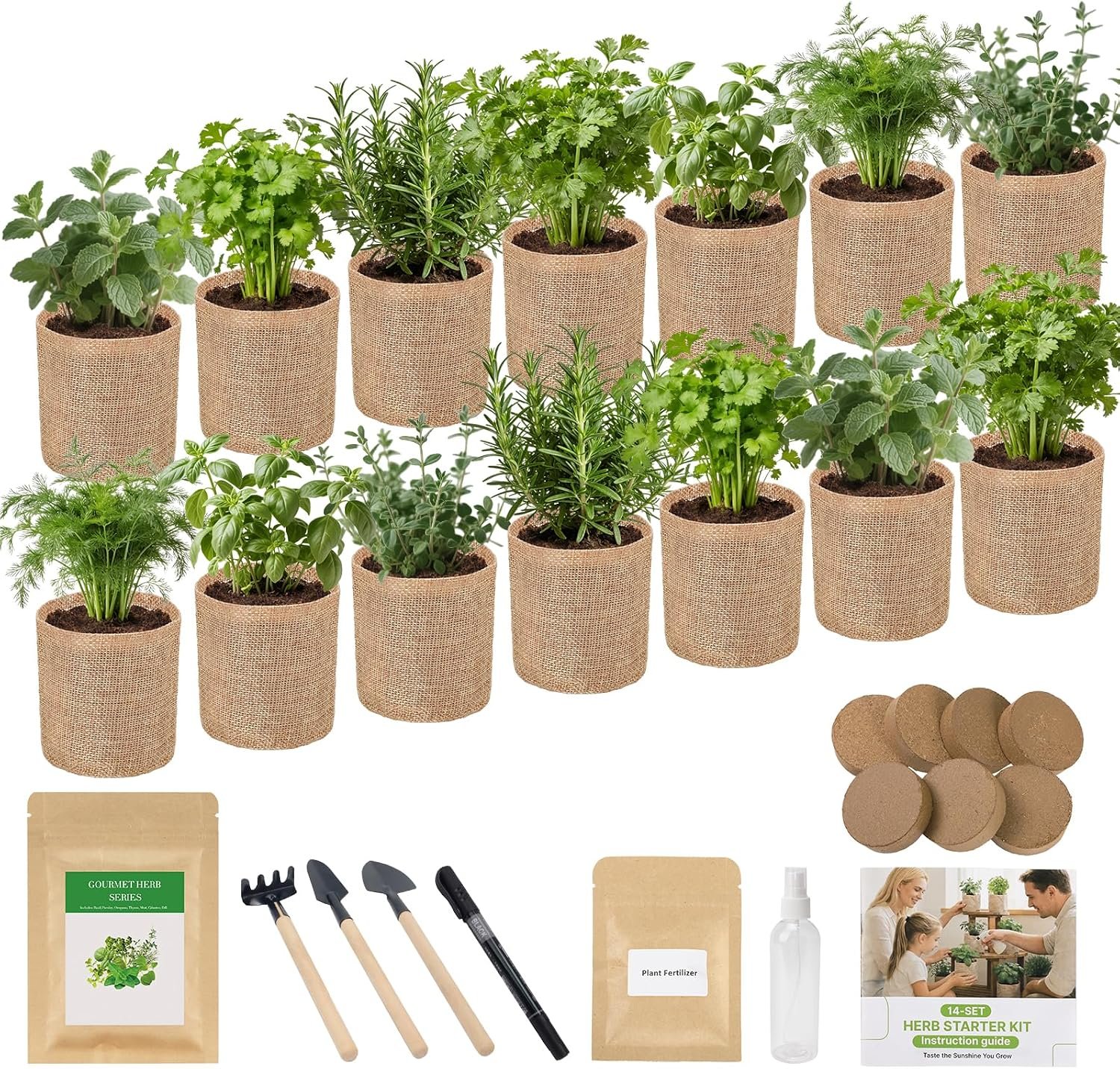 Herb Indoor Window Garden Kit – House Plants Seeds – Best Unique Christmas Gift Ideas for Women, Friend, Birthday, Housewarming, Mother, Beginner DIY Craft & Hobby Gardening Gift for Plant Lovers