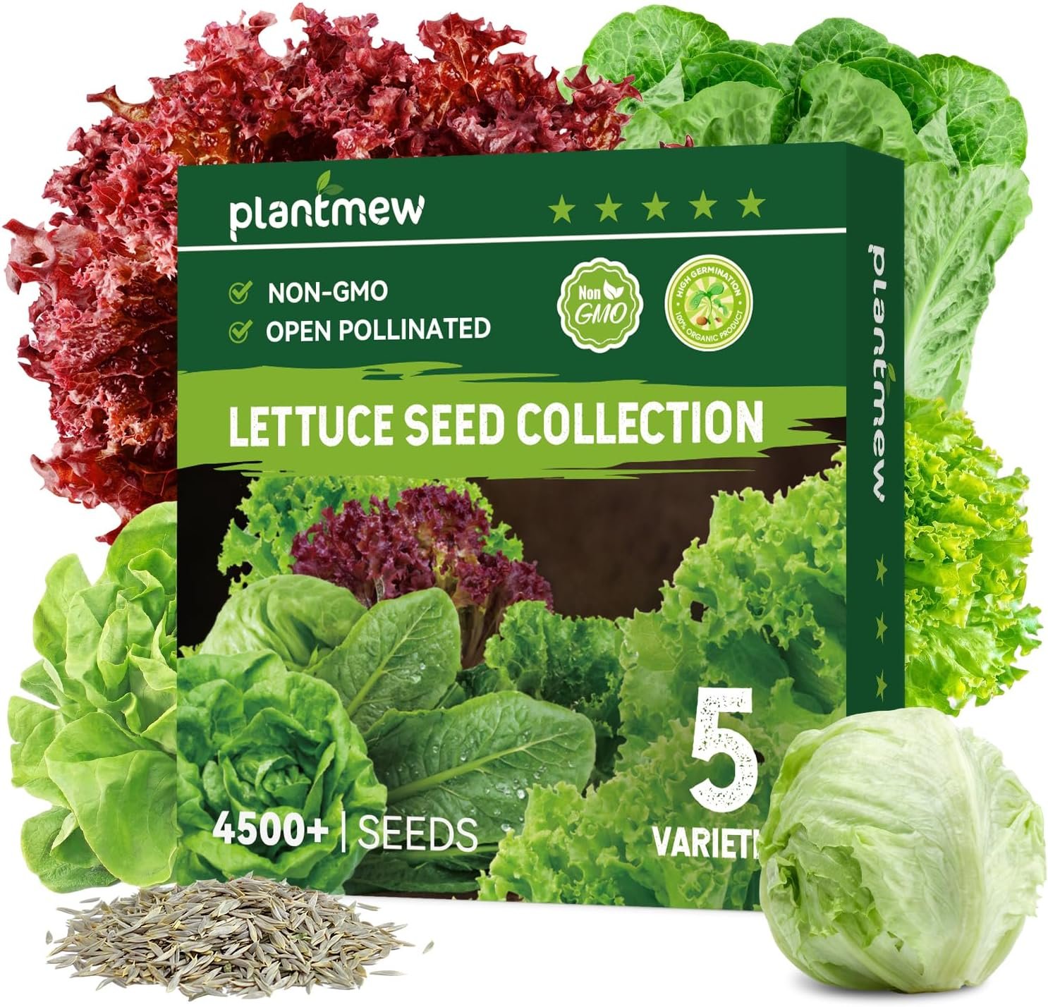 Heirloom Lettuce Seeds – 5 Varieties Lettuce Seeds for Planting – Black Seeded Simpson, Iceberg, Buttercrunch, Parris Island Cos & Lolla Rossa Lettuce – Home Garden & Hydroponic Seeds