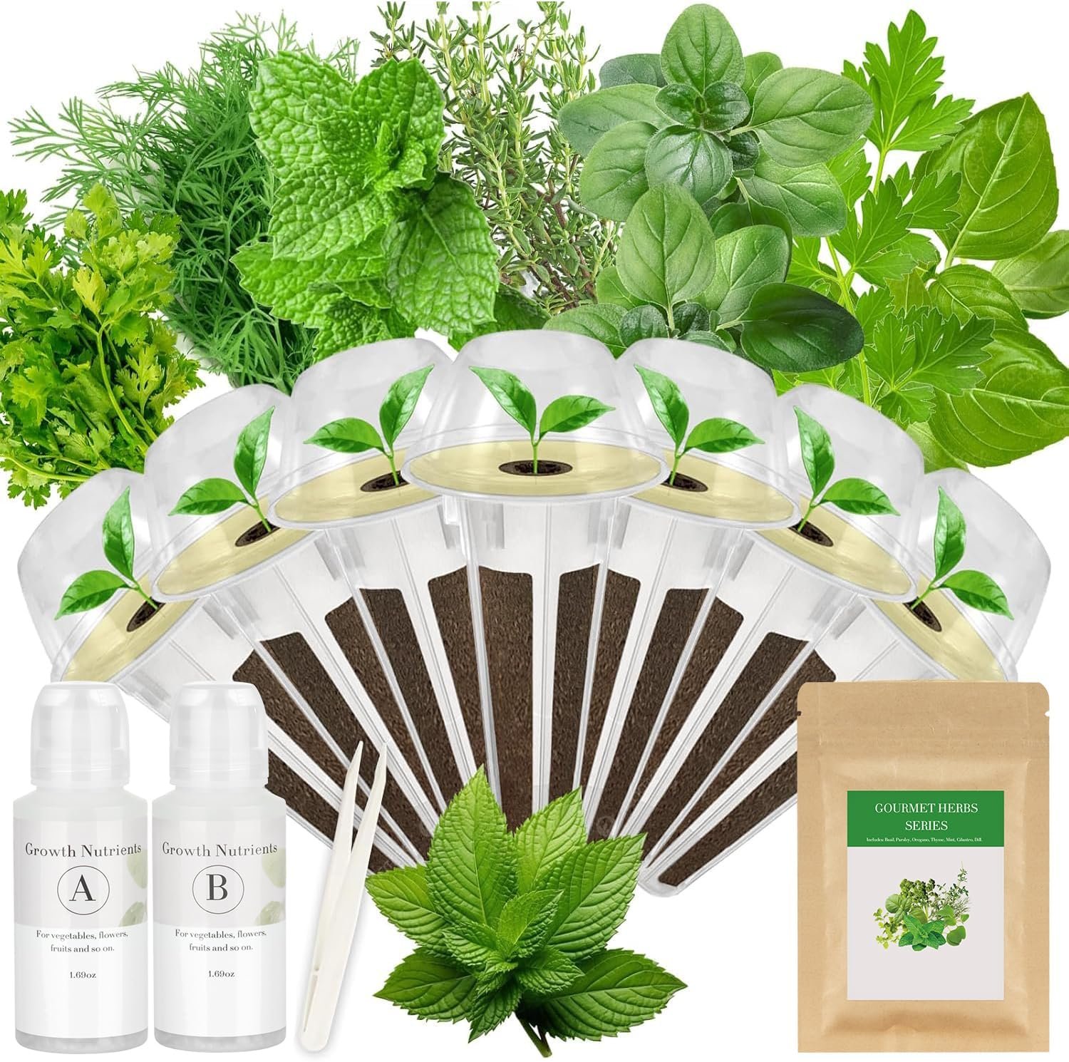 Gourmet Herb Seed Pod Kit for Hydroponic System-7 Pods, with 7 Herbs Seeds