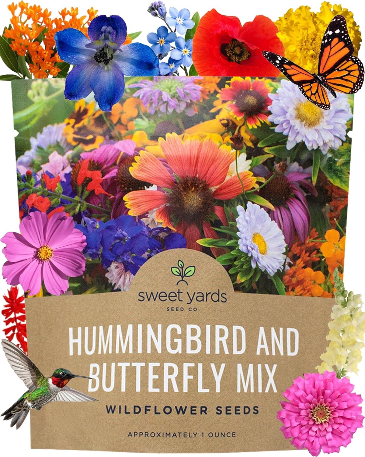 Wildflower Seeds Butterfly and Humming Bird Mix – Large 1 Ounce Packet 7,500+ Seeds – 23 Open Pollinated Annual and Perennial Species