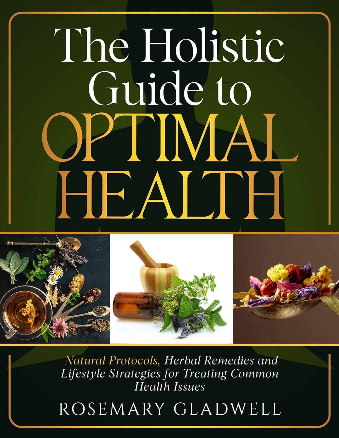 The Holistic Guide to Optimal Health: Natural Protocols, Herbal Remedies and Lifestyle Strategies for Treating Common Health Issues